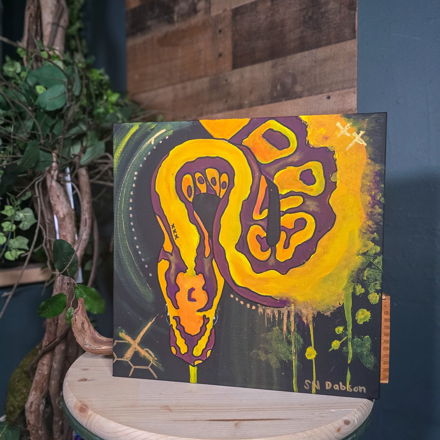 Evolution 14x14