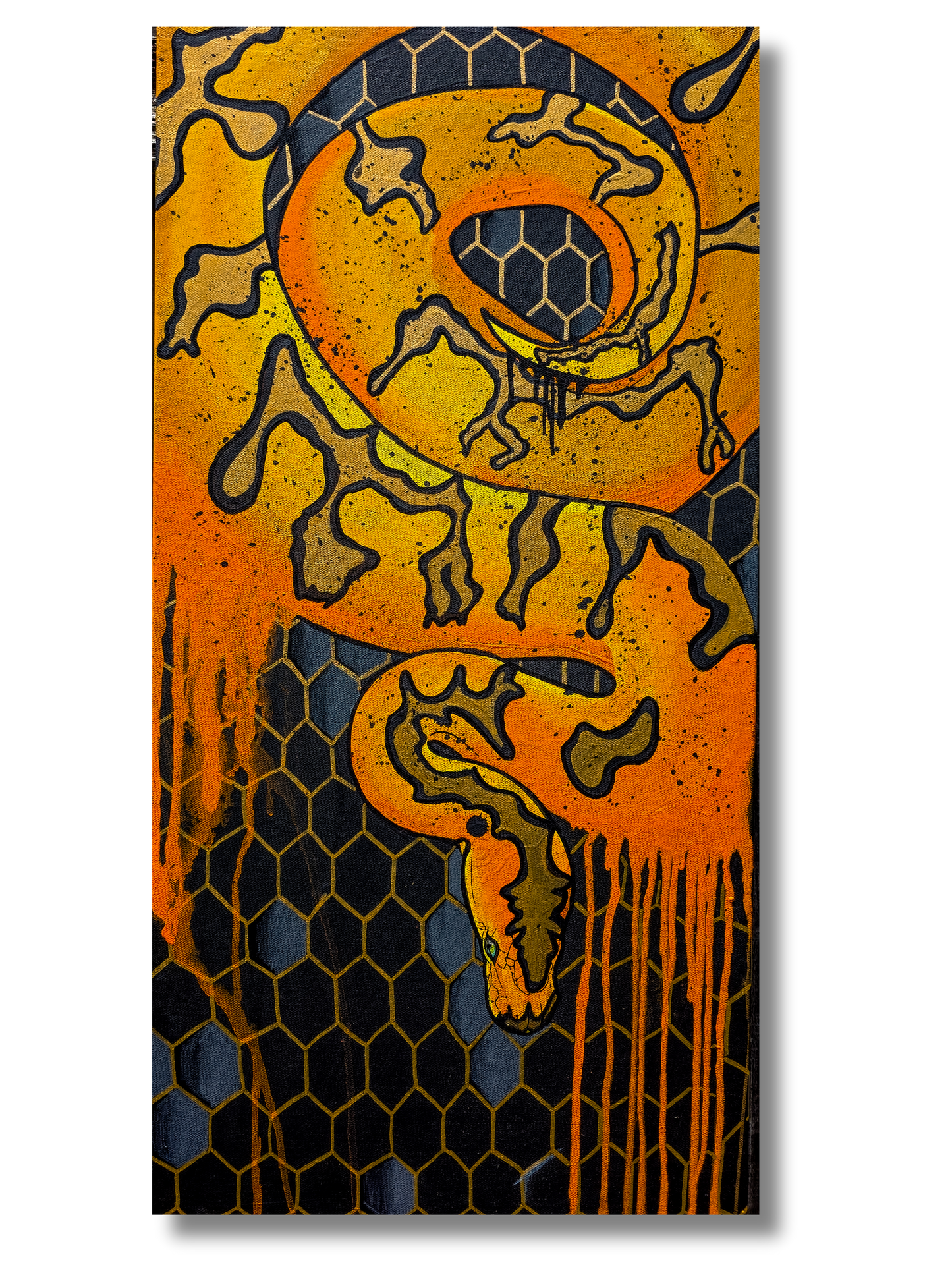 Sköll 15x30