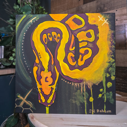 Evolution 14x14